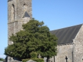 ND-Savigny-vue-Nord-Ouest ©Annie Drieu