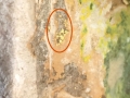 Statue-Chevelure