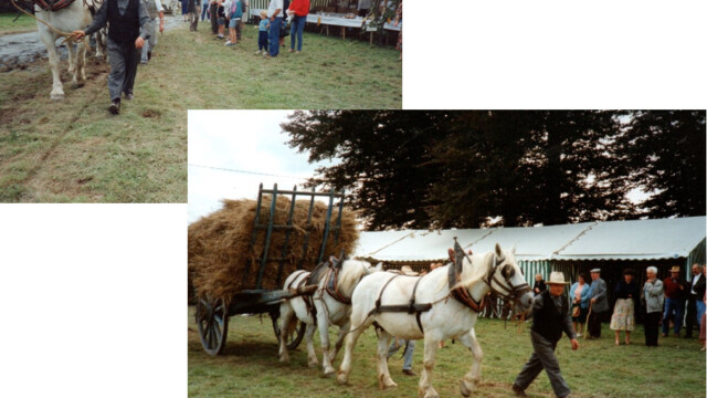 avant de passer en revue les anciens moyens de transport