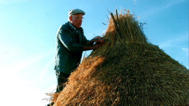ou le couvreur en paille